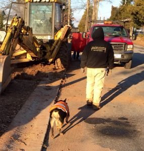 Septic Pumping in Westminster Maryland